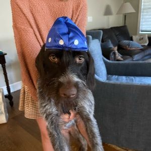 Meet your Posher, Amy